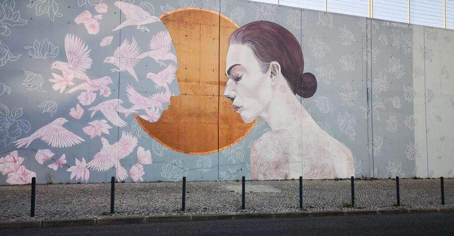 Lisbon: Street Art Tuk Tuk Tour - Reading the murals with a local guide