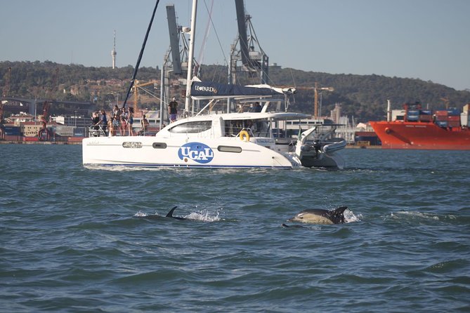 Lisbon: Sunset Cruise With Drinks on Spacious Yacht - Champalimaud Foundation and Belém Tower