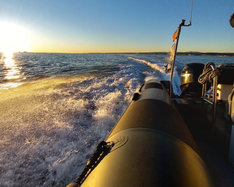Lisbon: Sunset SpeedBoat Tour - How much speed should you expect?