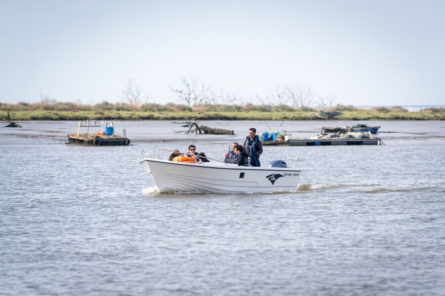 Lisbon: Tagus Estuary Nature Reserve Birdwatching Boat Tour - Mouchao da Povoa and the open channels
