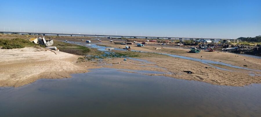 Lisbon: Tagus Estuary Nature Reserve Birdwatching Boat Tour - Boat comfort, safety, and group size