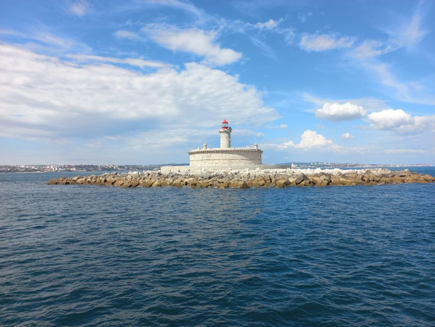 Lisbon: Tagus River Cruise to the Ocean & Dolphin Watching - The boat, drinks, and comfort level