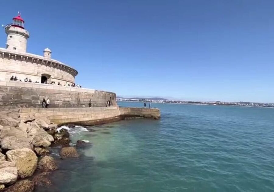 Lisbon: Tagus River Cruise to the Ocean & Dolphin Watching - What dolphin watching is really like