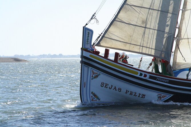 Lisbon Traditional Boats - Express Cruise - 45min - What the guide adds to the ride
