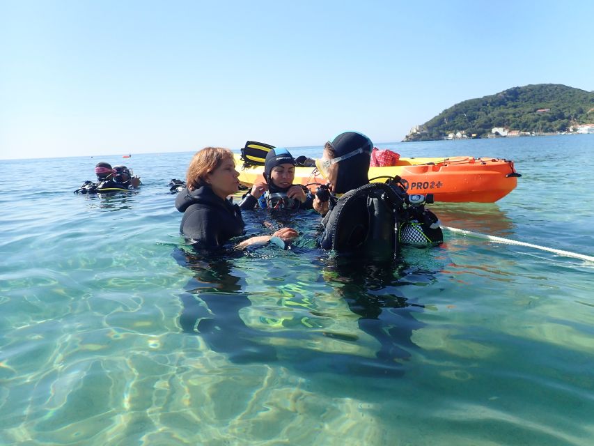 Lisbon: Try Dive in Arrábida Marine Reserve Setubal Sesimbra - Key points to know before booking