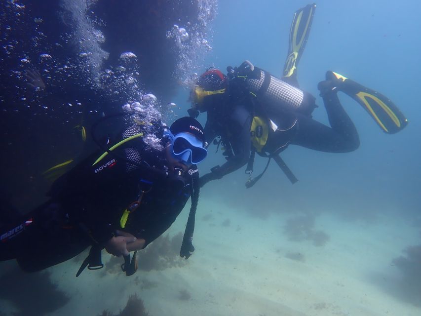 Lisbon: Try Dive in Arrábida Marine Reserve Setubal Sesimbra - Reaching Creiro Beach from Lisbon