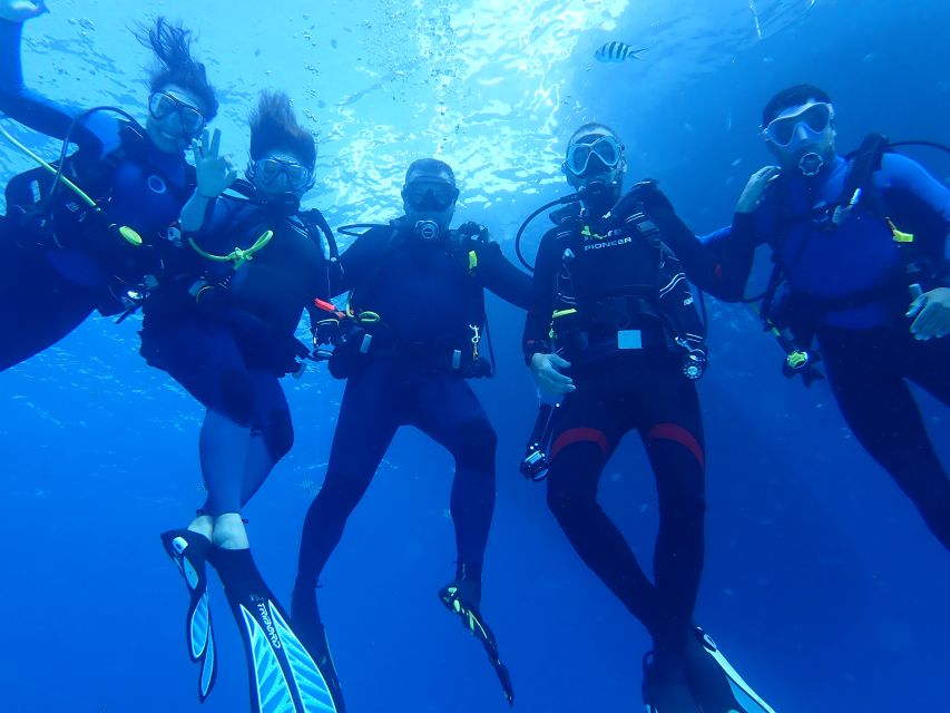 Lisbon: Try Dive in Arrábida Marine Reserve Setubal Sesimbra - The first 30 minutes: briefing, equipment, and breathing practice