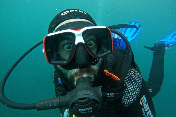 Lisbon: Try Scuba Diving in Arrabida Marine Reserve with photos - Underwater photos and the small practical catch
