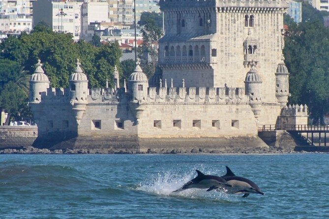 Meet the Lisbon Dolphins - Dolphin Watching in Lisbon - Belém Tower from the water