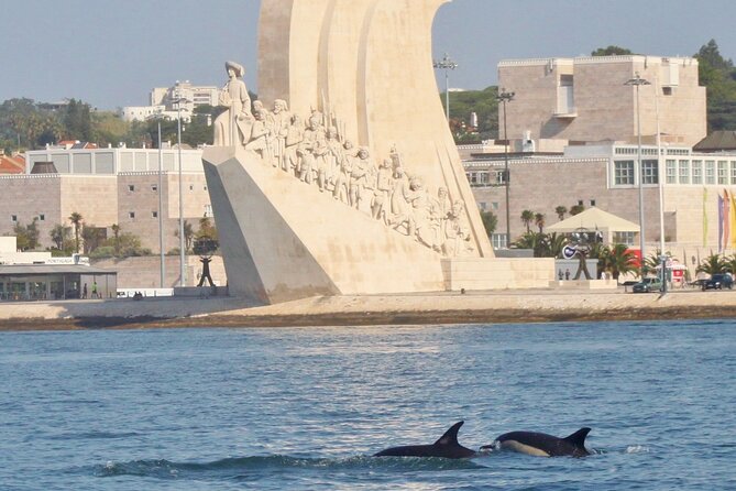 Meet the Lisbon Dolphins - Dolphin Watching in Lisbon - Heading toward the Atlantic coast