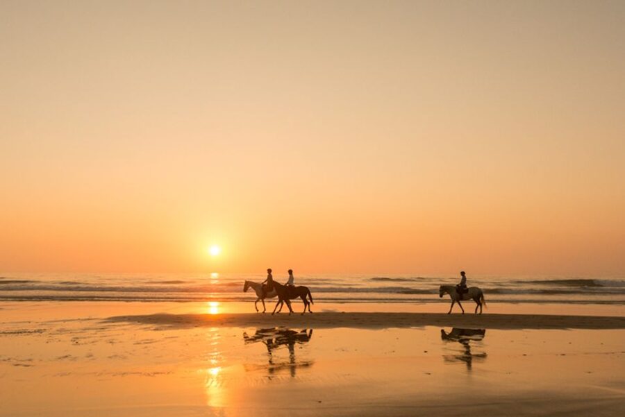 Melides: Horse Riding on the Beach with Wine Tasting - Why this ride feels different from a standard beach outing