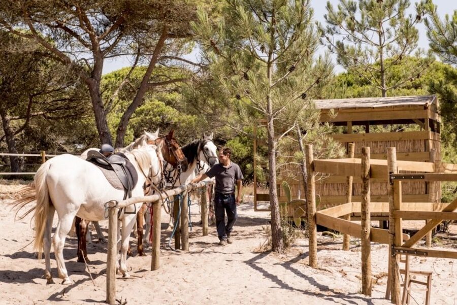 Melides: Horse Riding on the Beach with Wine Tasting - Reaching the open beach