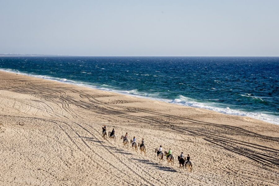 Melides: Horse Riding on the Beach with Wine Tasting - Weather, cancellation, and the best type of day