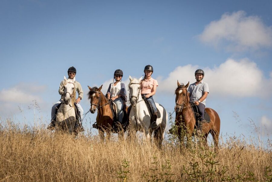 Melides: Horse Riding on the Beach with Wine Tasting - The forest and dunes come first