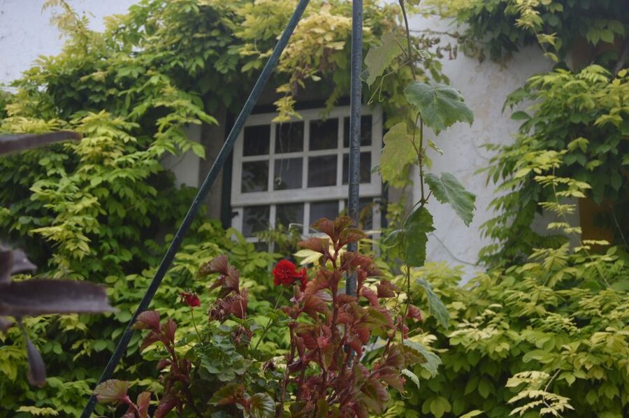 Óbidos: Medieval Tales & Secrets Spots Guided Walking Tour - Entering the 1300-year-old castle