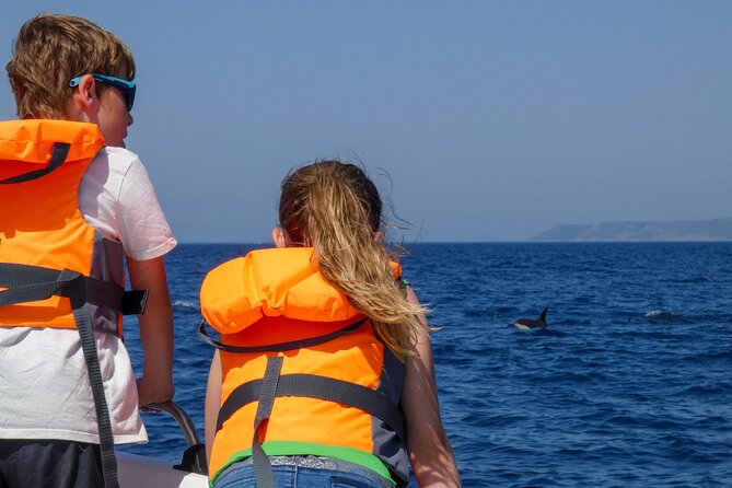 Observation of Dolphins and Whales with Marine Biologist in Arrábida - Is $66.54 a fair price?