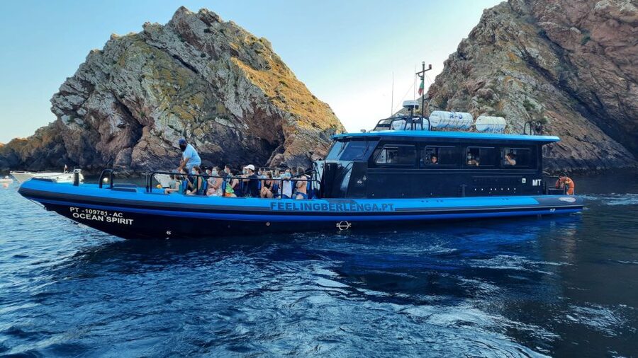Peniche: Berlengas Island Trip, Hiking and Cave Tour - Should you book the Berlengas Island trip?