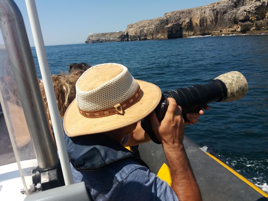Peniche: Dolphin Route Boat Trip - Key points at a glance