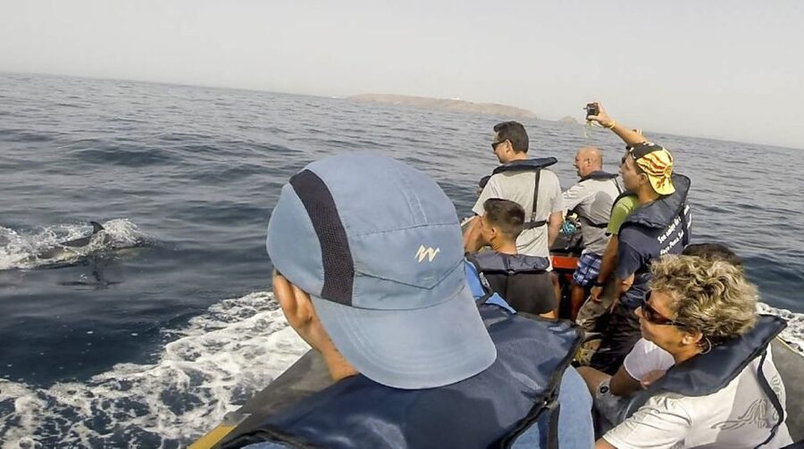Peniche: Dolphin Route Boat Trip - How much value do you get for $53?