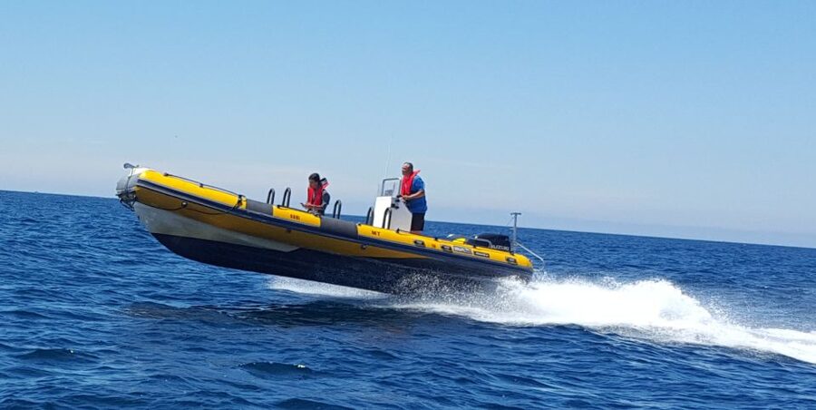 Peniche: Dolphin Route Boat Trip - Picking the right place in your Portugal itinerary