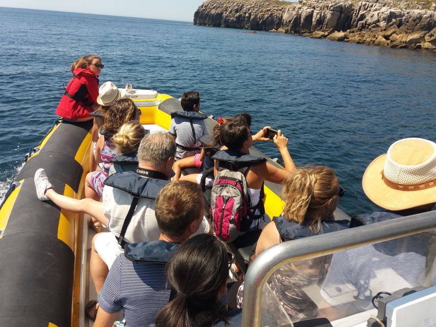 Peniche: Dolphin Route Boat Trip - Should you book the Peniche Dolphin Route Boat Trip?