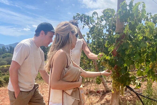 Private Full-Day Wine Tour from Lisbon with Tastings - Why this is more than a wine tasting