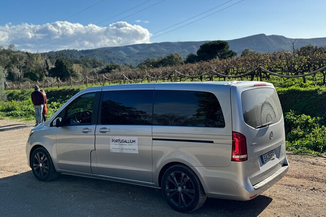 Private Full-Day Wine Tour from Lisbon with Tastings - Quinta do Alcube: wine among hills and the Atlantic
