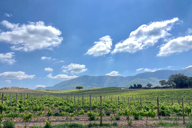 Private Full-Day Wine Tour from Lisbon with Tastings - Cristo Rei: end with a view across Lisbon