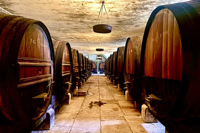 Private Lisbon-Arrábida Wine Tour: 3 Wineries, Coast & Heritage - Why Setúbal makes a better wine day than you might expect