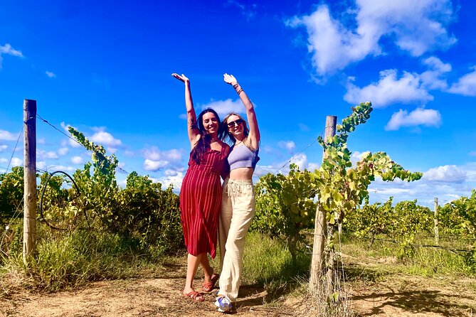 Private Lisbon-Arrábida Wine Tour: 3 Wineries, Coast & Heritage - Arrábida Natural Park and the road above the sea
