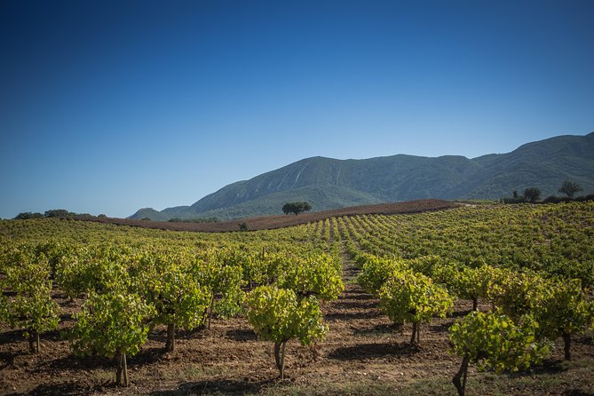 Private Lisbon Arrabida Wine Tour: Food & Wines, Mountain and Sea - Why Arrábida makes a good day trip from Lisbon