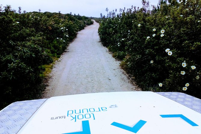 Private Safari Tour to Espichel Cape & West Coast Wild Beaches - The private jeep makes the difference