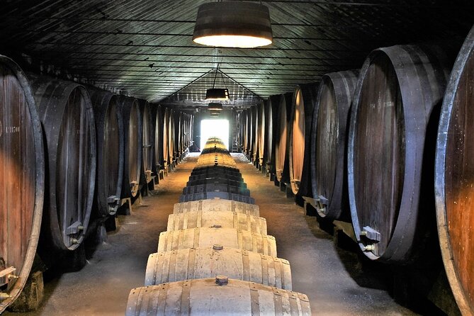 Private Wine Tasting in the Setúbal Wine Region, from Lisbon - José Maria da Fonseca: The Historic Starting Point
