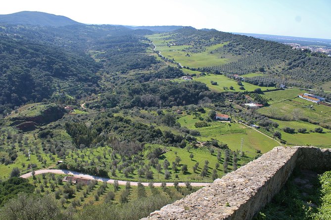 Private Wine Tasting in the Setúbal Wine Region, from Lisbon - Quinta do Alcube and the Farming Behind the Bottle
