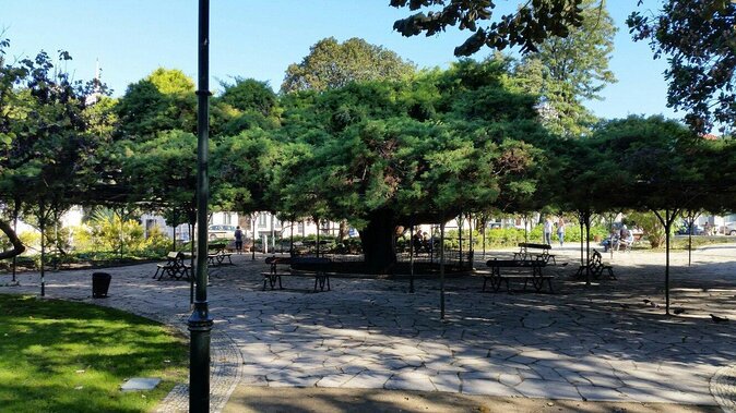 Queer Lisbon - A Treasure Hunt in LGBT History - Key points to know before booking