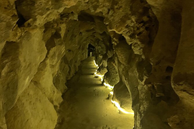 Quinta da Regaleira and Sintra visit half day private tour - Crowds, weather, and what to bring