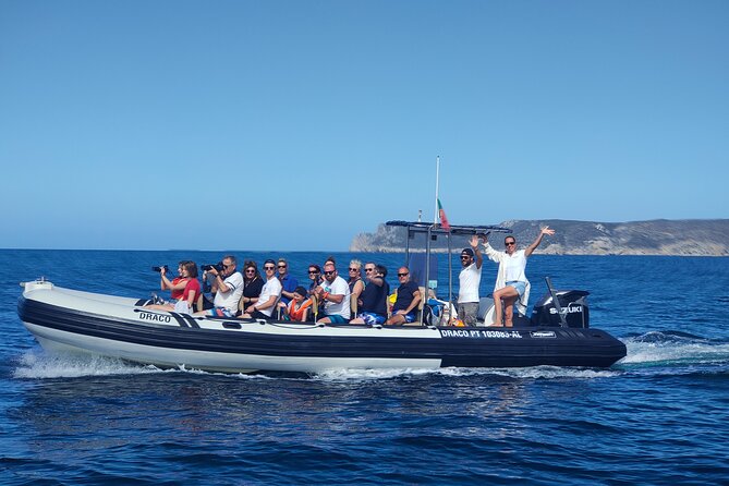 Sesimbra: Arrábida Dolphin and Whale Watching tour with biologist - Why the dolphin search feels different in Arrábida