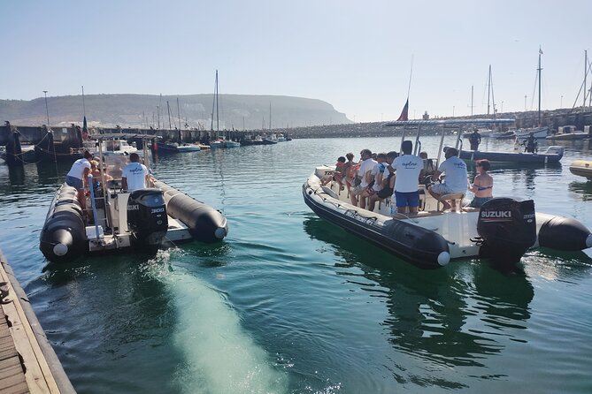 Sesimbra: Arrábida Dolphin and Whale Watching tour with biologist - Is $66.42 good value for three hours?