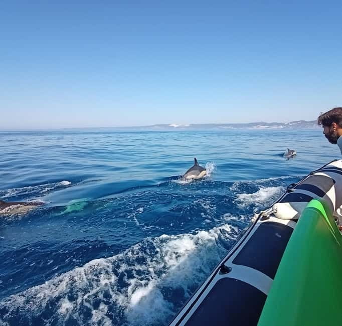 Sesimbra: Dolphin Watching Boat Tour with Biologist Guide - Coastal views, caves, and Sesimbra stories