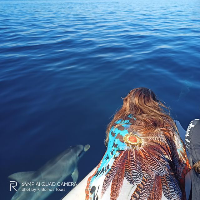 Sesimbra: Dolphin Watching Boat Tour with Biologist Guide - What the $62 price really covers