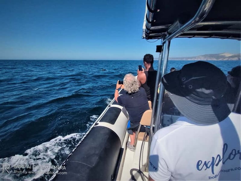 Sesimbra: Dolphin Watching Boat Tour with Biologist Guide - Checking in at Bolhas Tours in Sesimbra Marina