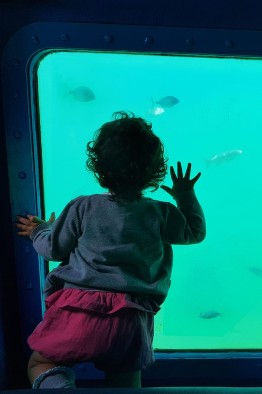 Sesimbra: Family Friendly Boat Sea Tour w/ Submarine Vision - Why the underwater windows change the boat ride