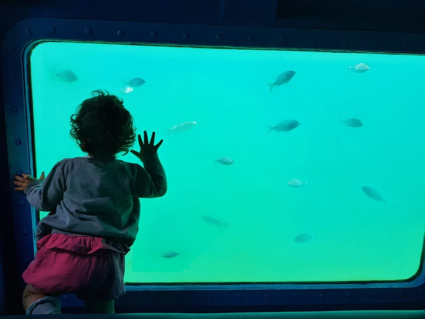 Sesimbra: Family Friendly Boat Sea Tour w/ Submarine Vision - Ribeira do Cavalo and the appeal of a wild beach