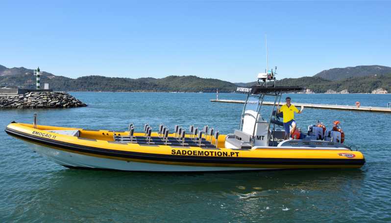 Setúbal and Tróia: Dolphin Watching and Arrábida Bays - Key points to know before booking