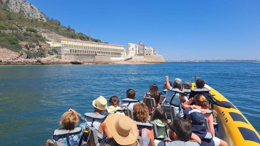 Setúbal and Tróia: Dolphin Watching and Arrábida Bays - Who should book this cruise?