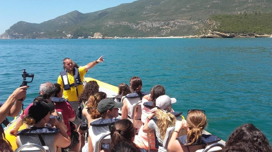Setúbal and Tróia: Dolphin Watching and Arrábida Bays - What the two-hour timing really means