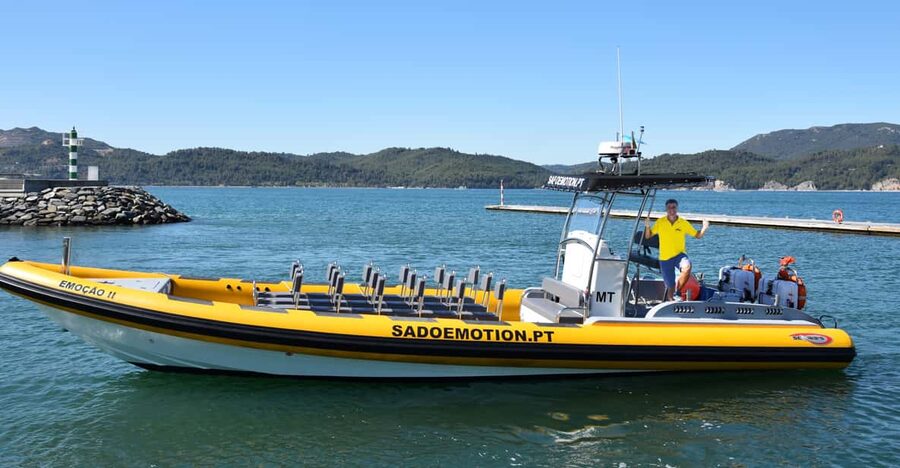Setúbal and Tróia: Dolphin Watching and Arrábida Bays - Comfort, safety, and who can join