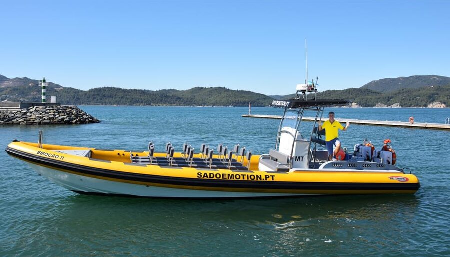 Setúbal and Tróia: Dolphin Watching and Arrábida Bays - Is $53 good value?