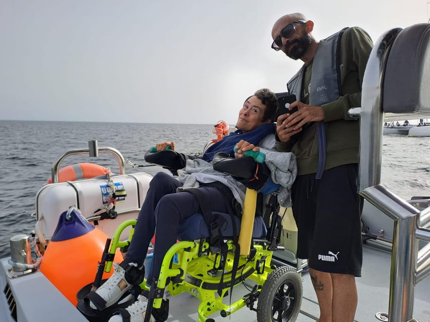 Setúbal and Tróia: Dolphin Watching and Arrábida Bays - What to bring and how to prepare