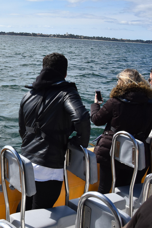 Setúbal and Tróia: Dolphin Watching and Arrábida Bays - What makes the Arrábida bays worth seeing